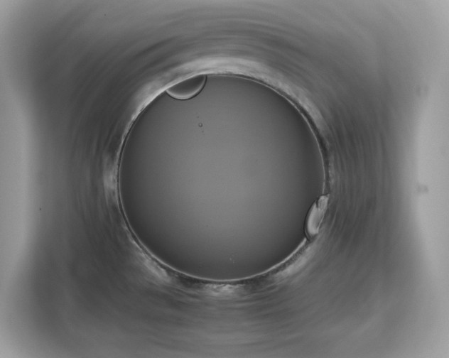 X0000113111529200908281358