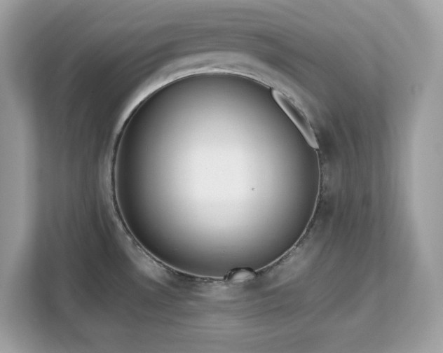 X0000113111530200908281358