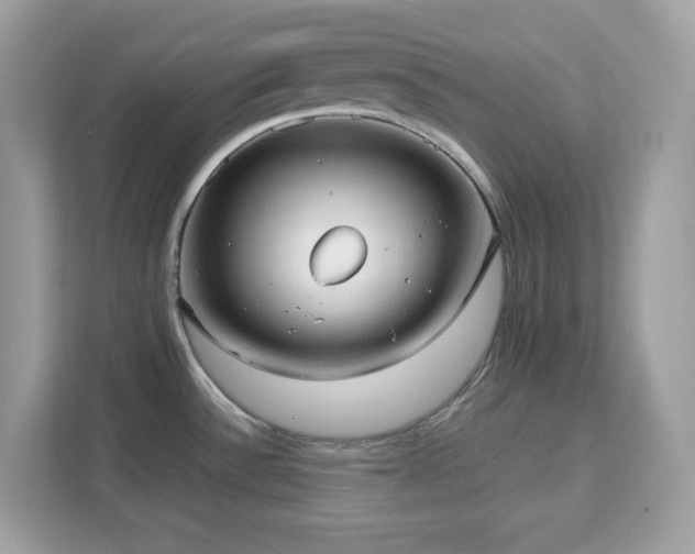 X0000113111532200908281358