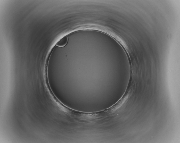 X0000113111533200908281358