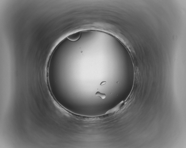 X0000113111535200908281358