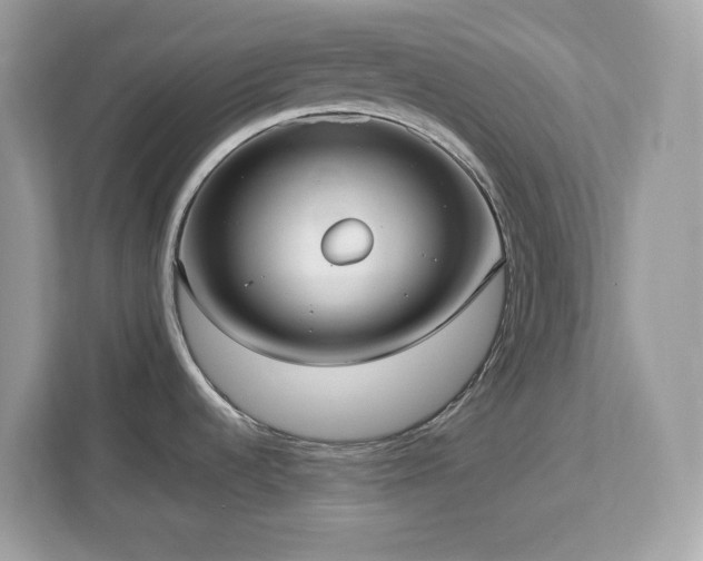 X0000113111536200908281358