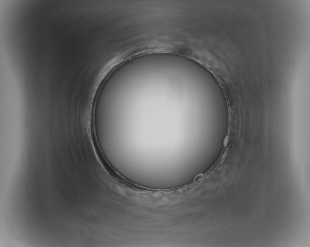 X0000113110003200909041255