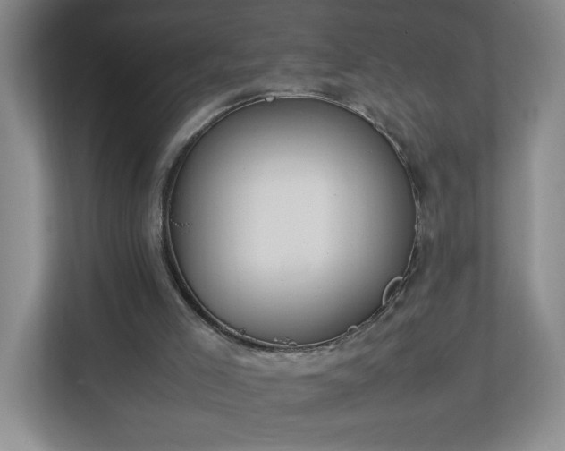X0000113110005200909041255