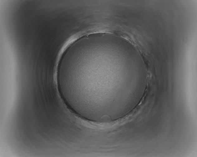 X0000113110006200909041255