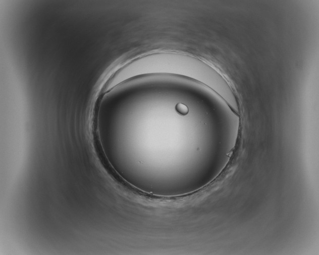 X0000113110007200909041255