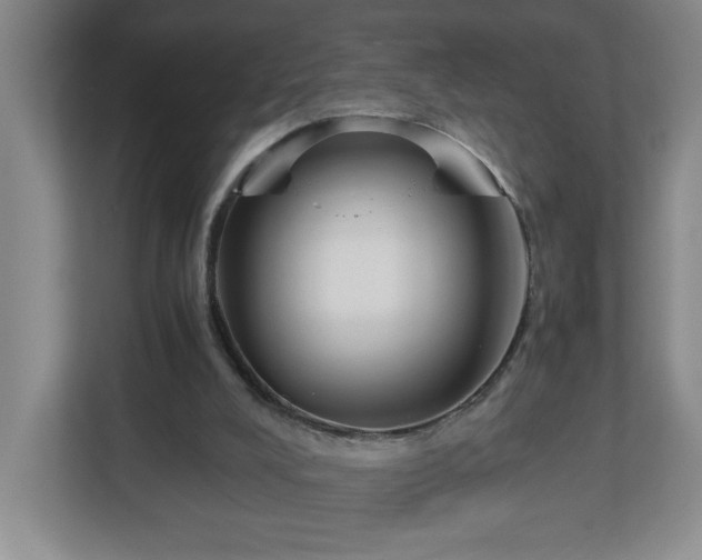 X0000113110008200909041255