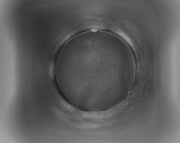 X0000113110009200909041255