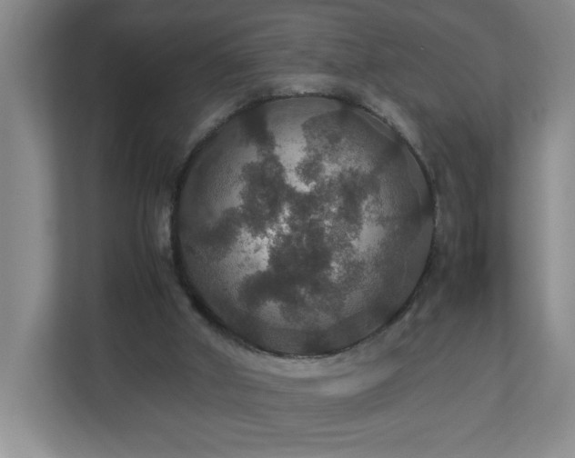 X0000113110010200909041255