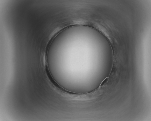 X0000113110011200909041255