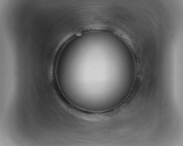 X0000113110012200909041255