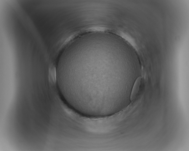 X0000113110013200909041255