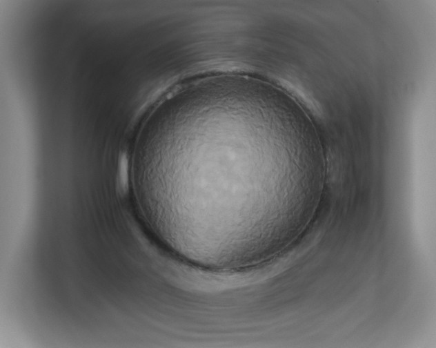 X0000113110014200909041255