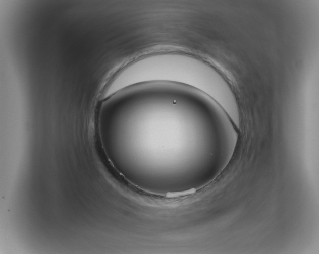 X0000113110015200909041255