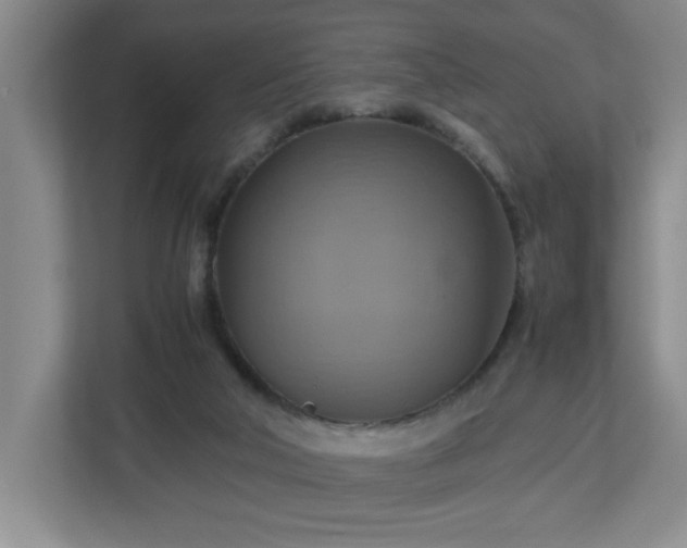 X0000113110018200909041255