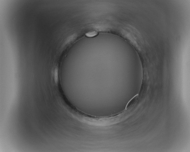 X0000113110019200909041255