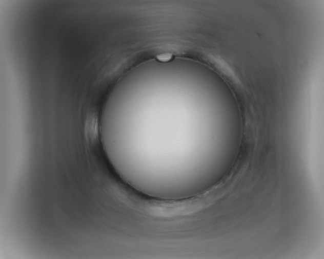 X0000113110021200909041255