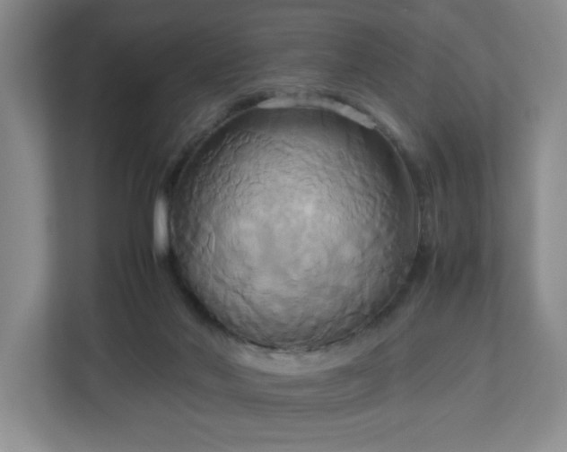 X0000113110022200909041255