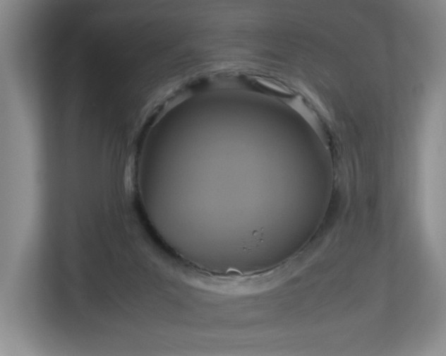 X0000113110023200909041255