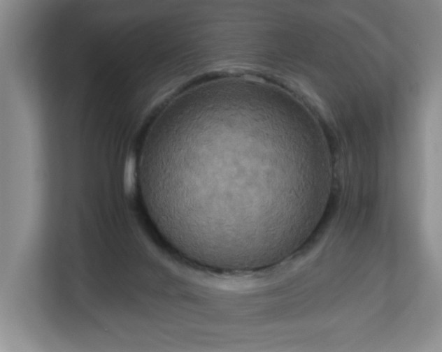 X0000113110024200909041255