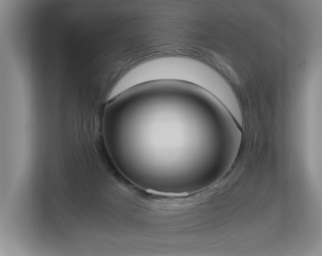 X0000113110025200909041255
