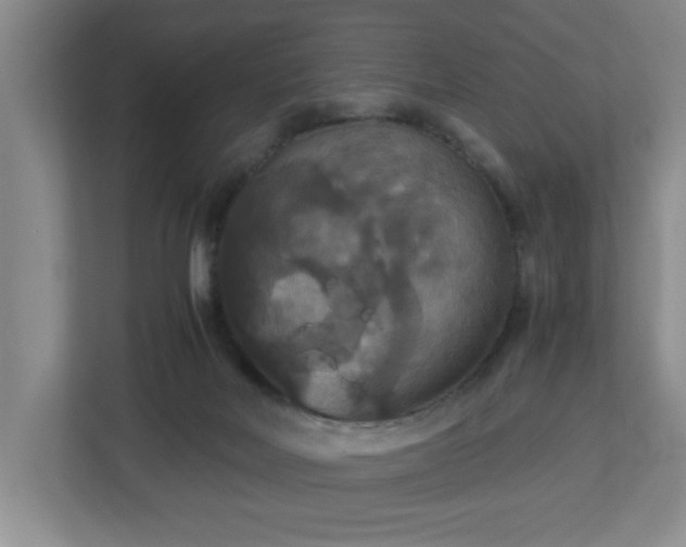 X0000113110026200909041255