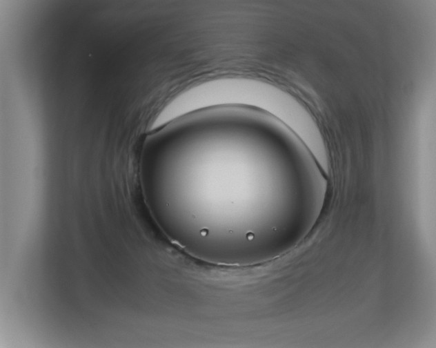 X0000113110029200909041255
