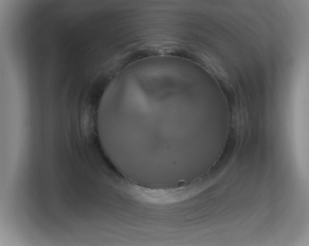 X0000113110030200909041255