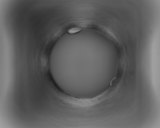 X0000113110031200909041255