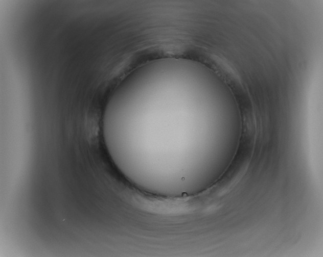 X0000113110032200909041255
