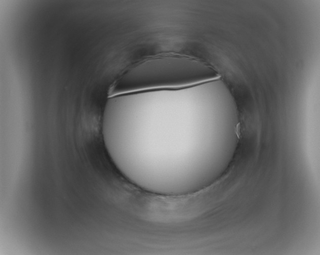 X0000113110033200909041255