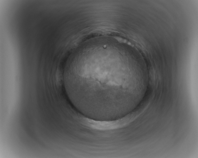 X0000113110034200909041255