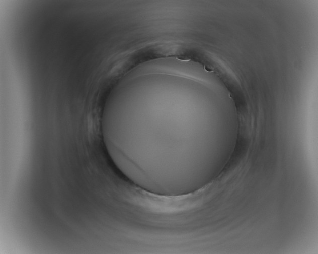 X0000113110035200909041255