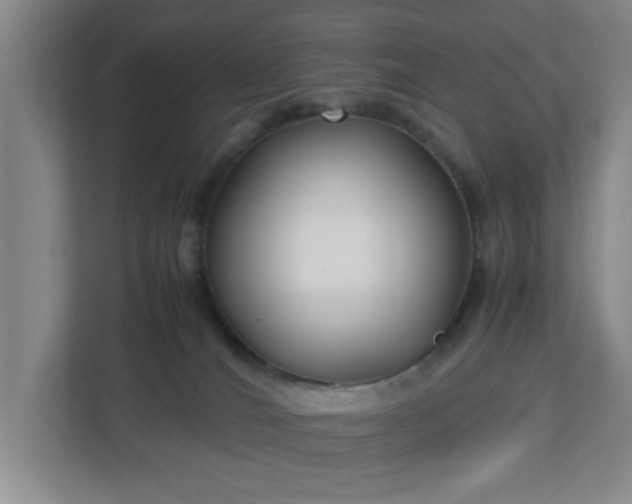 X0000113110036200909041255