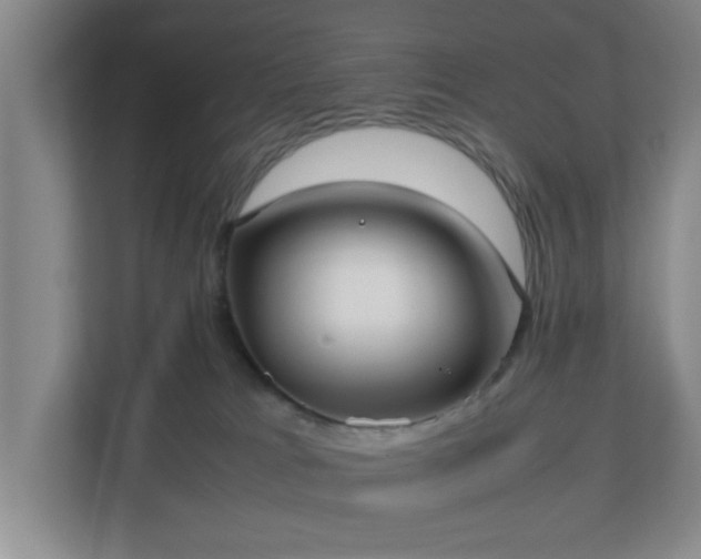 X0000113110037200909041255