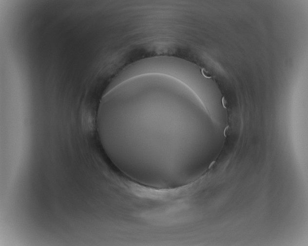 X0000113110039200909041255