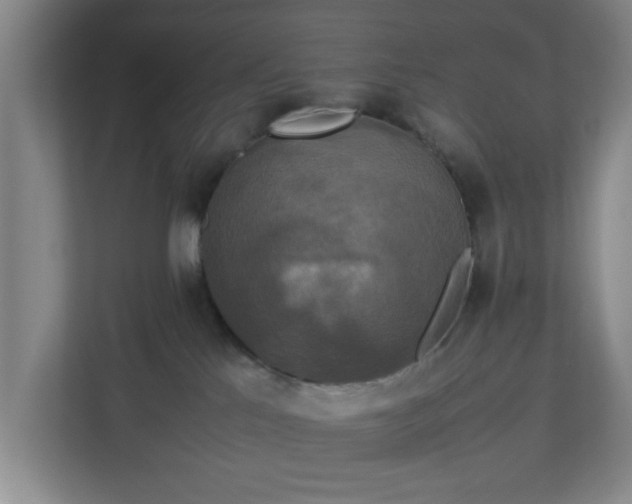 X0000113110041200909041255
