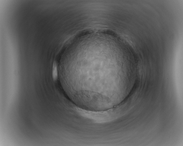 X0000113110042200909041255