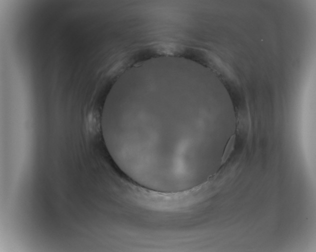 X0000113110043200909041255