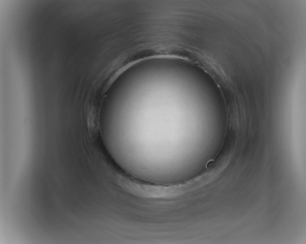 X0000113110044200909041255