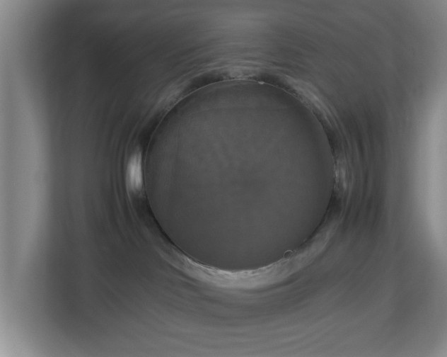 X0000113110046200909041255