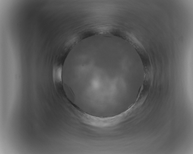X0000113110047200909041255