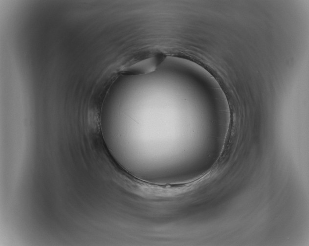 X0000113110048200909041255