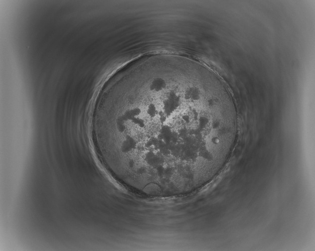X0000113110049200909041254