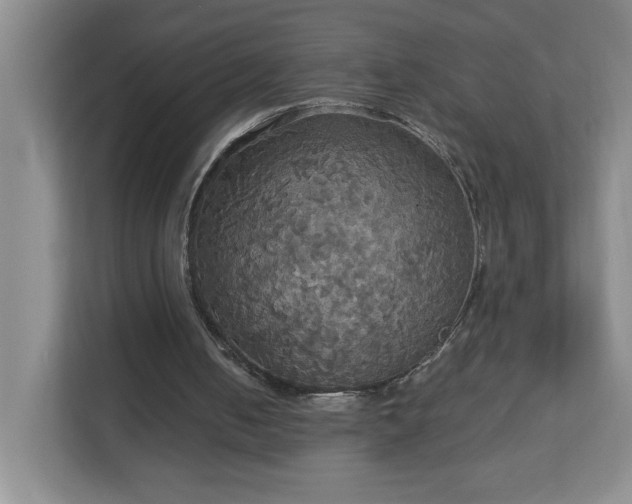 X0000113110050200909041254