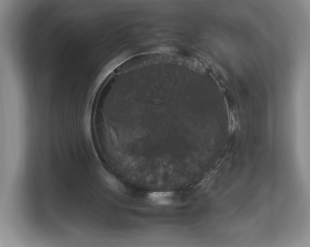 X0000113110051200909041254