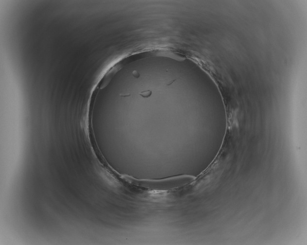 X0000113110052200909041254