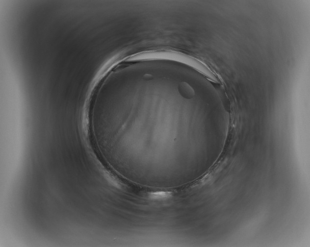 X0000113110053200909041254