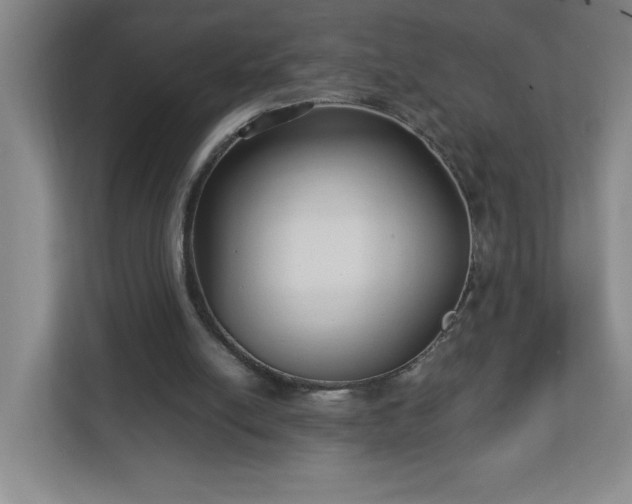 X0000113110054200909041254