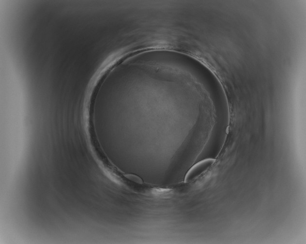 X0000113110055200909041254